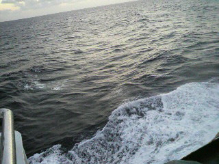 f0016981_239734.jpg
