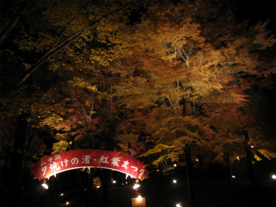 a0038882_11351316.jpg