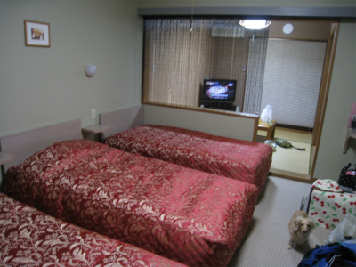 a0038882_11421696.jpg