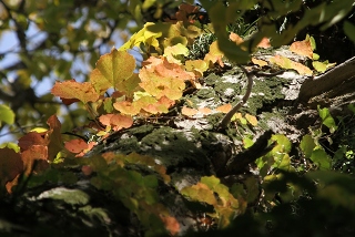 f0022486_22511359.jpg