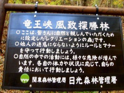 d0125890_22415942.jpg