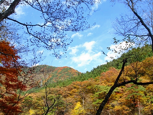 d0125890_22452080.jpg