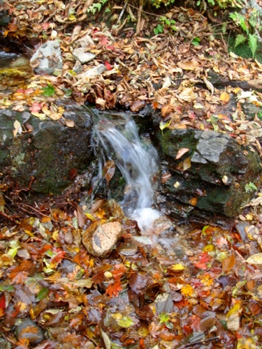 d0125890_22475147.jpg