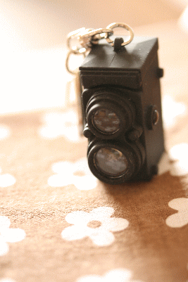 d0100192_22363481.gif
