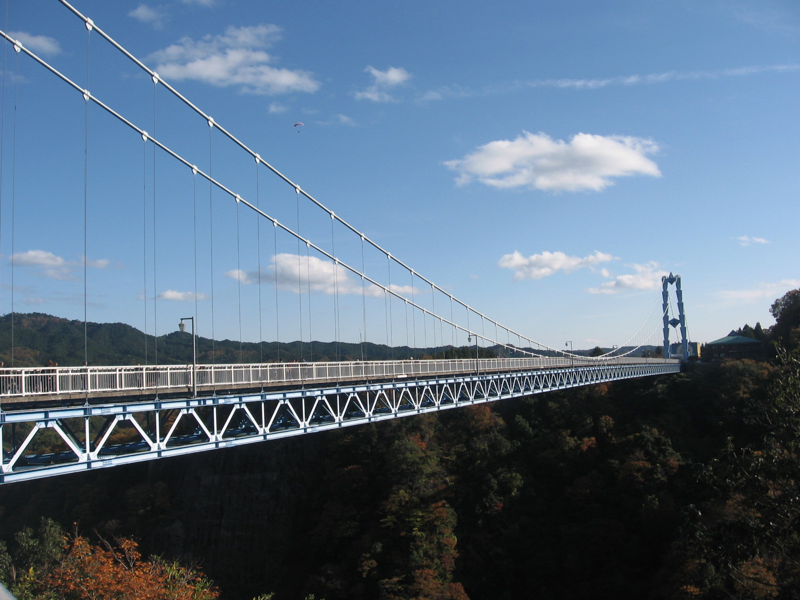 e0185092_1614632.jpg