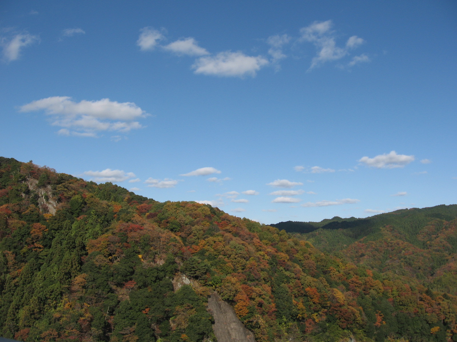 e0185092_162203.jpg