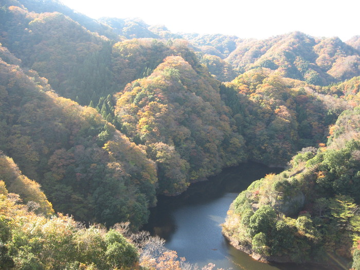 e0185092_1624076.jpg