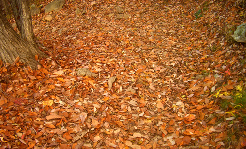 b0099994_6334692.jpg