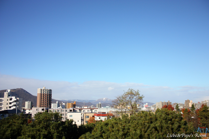 f0001895_15133993.jpg