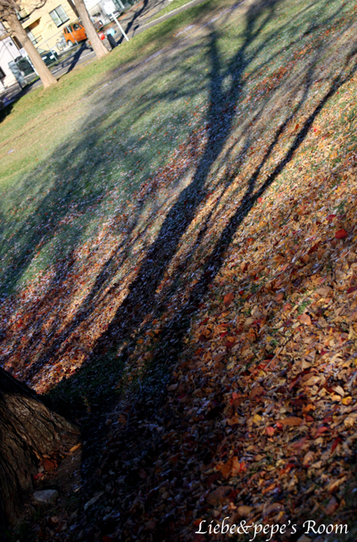 f0001895_1573767.jpg
