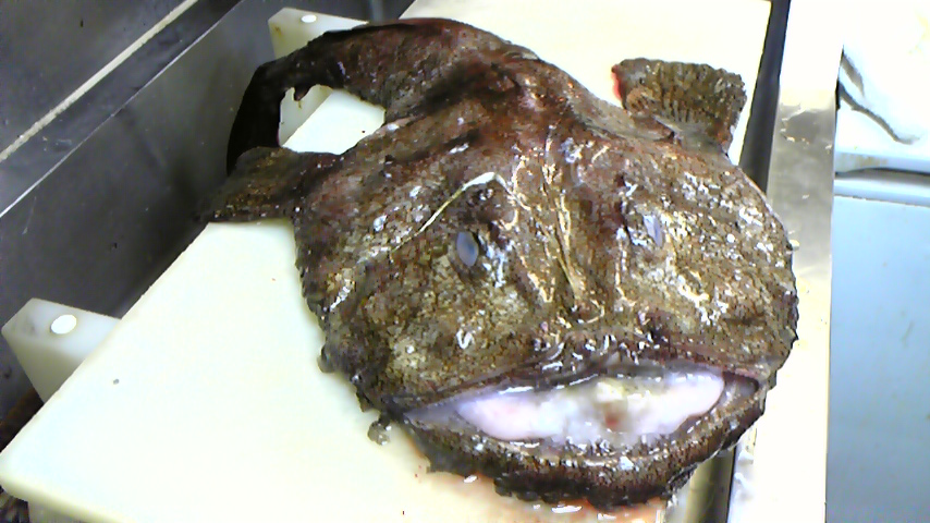 f0084695_184515.jpg