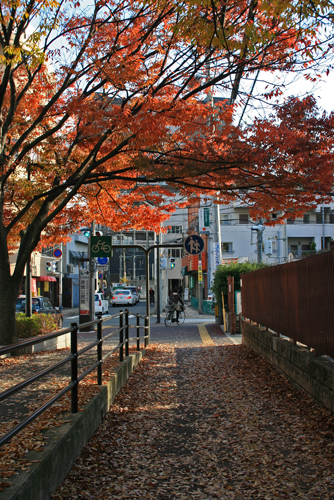 c0129498_1723198.jpg