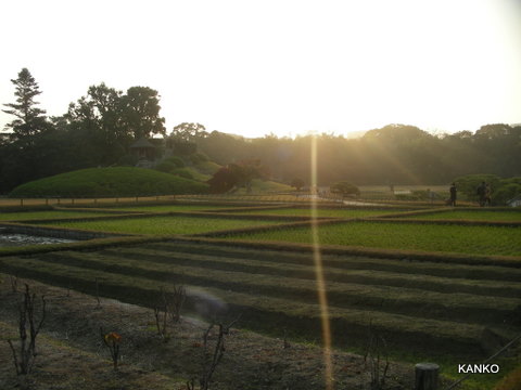 c0145299_22345586.jpg