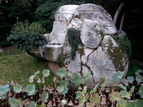 c0145299_22424556.jpg