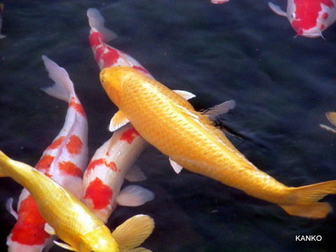 c0145299_22531071.jpg