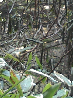 e0028904_2148277.jpg