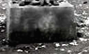 e0103408_15533255.gif