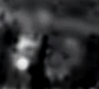 e0103408_1611589.gif