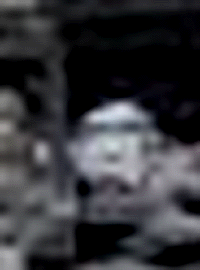 e0103408_1614846.gif