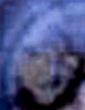 e0103408_1630101.gif