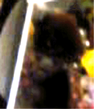 e0103408_1971560.gif