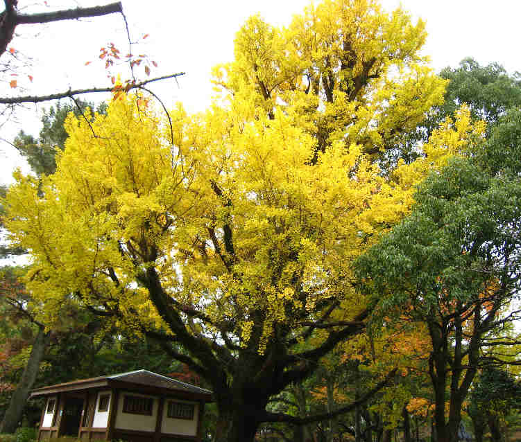 d0154609_11131570.jpg