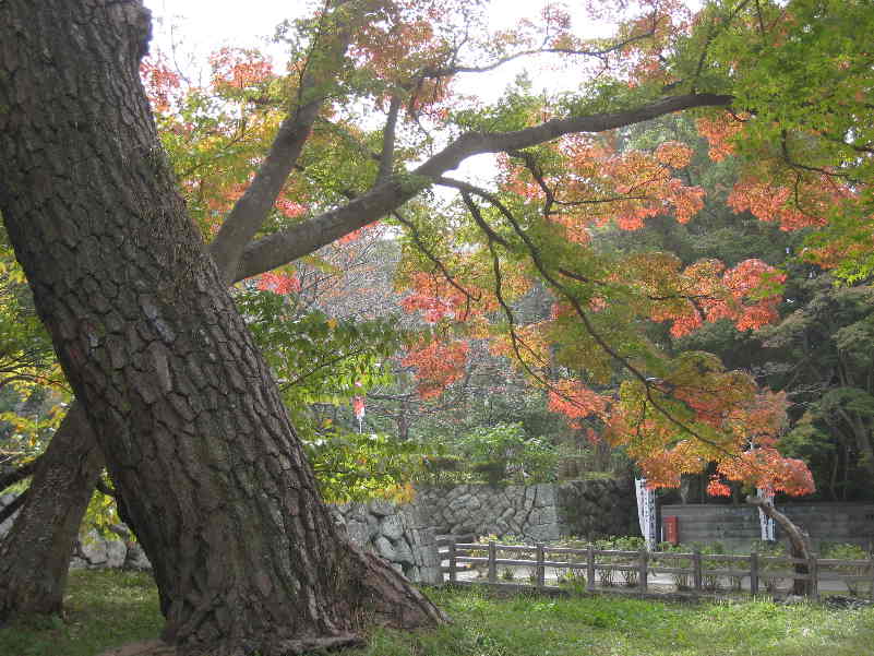 d0154609_1115241.jpg