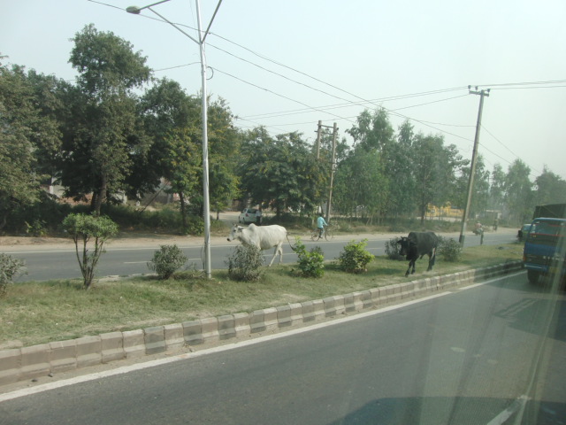 e0141909_23493682.jpg