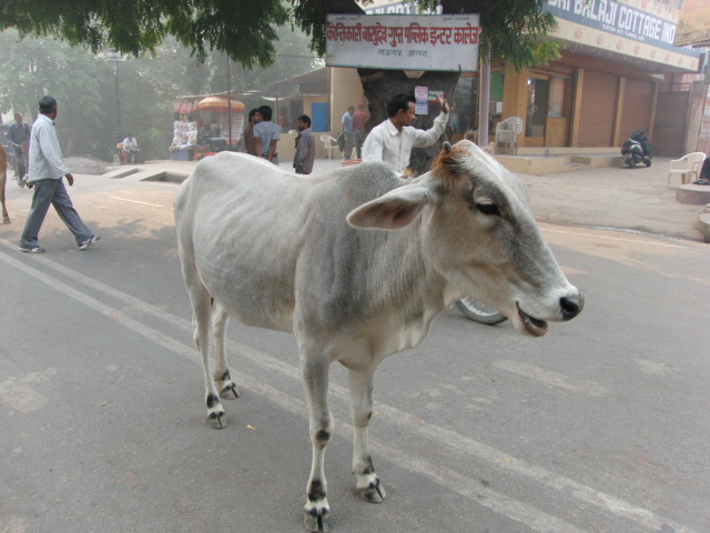 e0141909_2354079.jpg