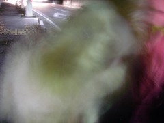 c0190010_17371335.jpg