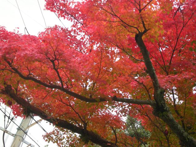 b0183911_23464167.jpg