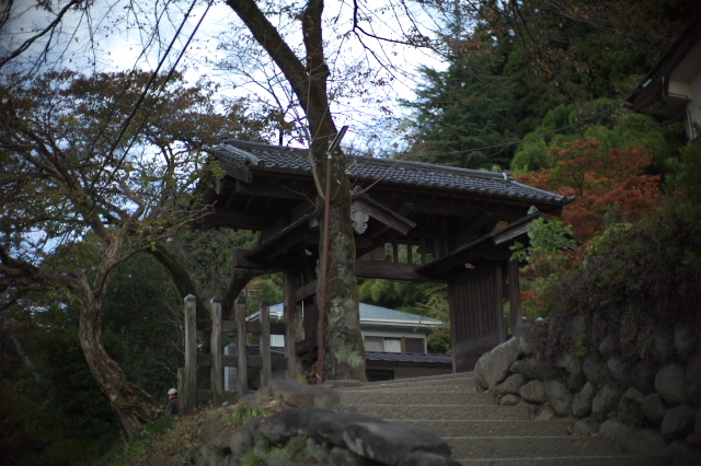 d0143011_21415384.jpg