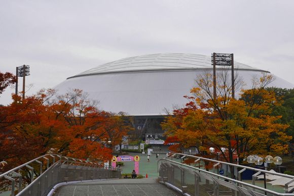 d0179113_4263888.jpg