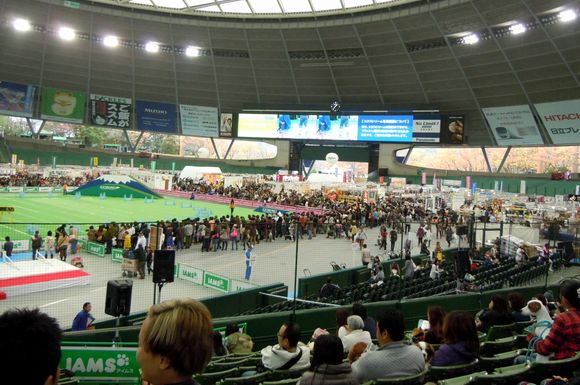 d0179113_552334.jpg