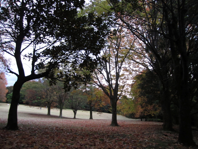 c0219815_2247011.jpg