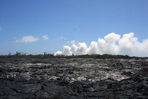 f0137324_22252419.jpg