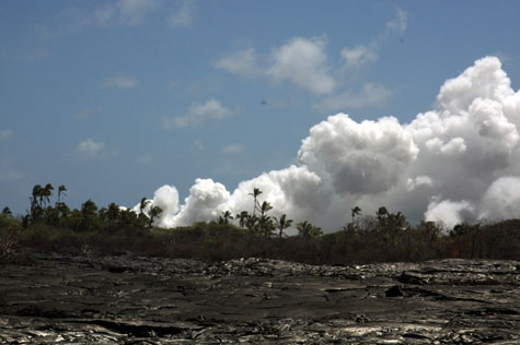 f0137324_22255631.jpg