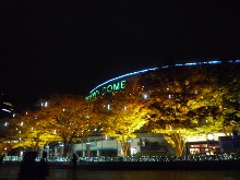 c0049825_022379.jpg