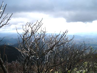 f0158625_11402388.jpg