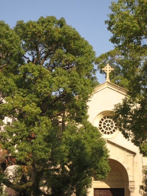 d0147727_19321230.jpg