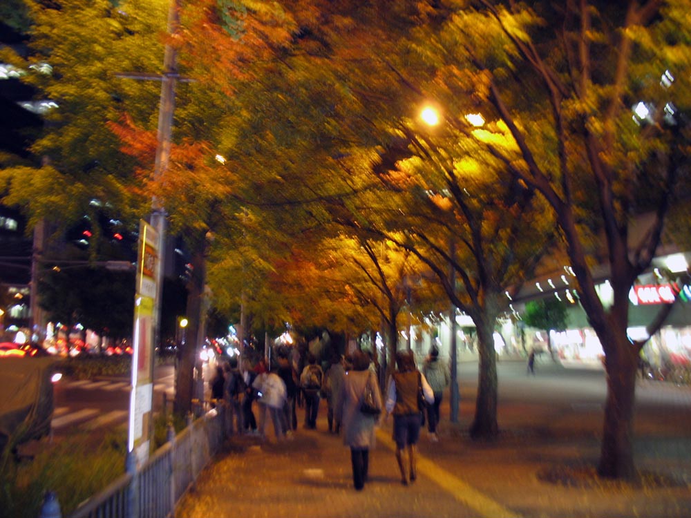c0208328_23224747.jpg