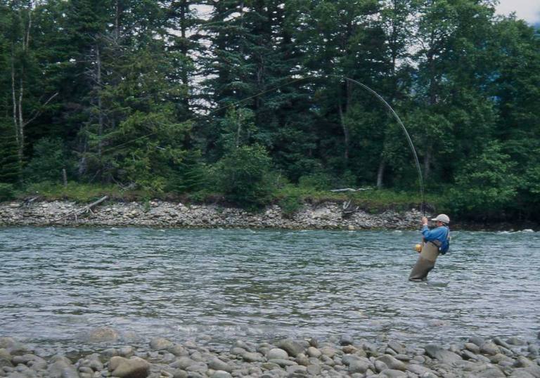 e0198128_20252557.jpg