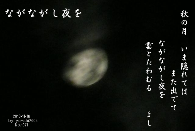 e0033229_005283.jpg