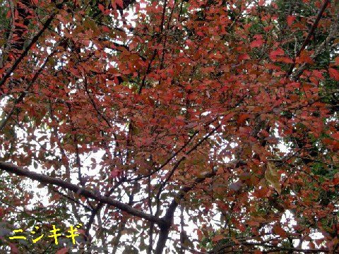 b0012636_21414834.jpg