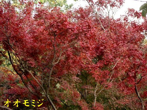 b0012636_21443871.jpg