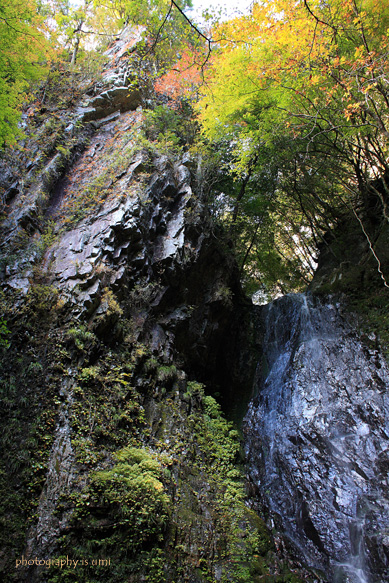 e0083238_22195224.jpg