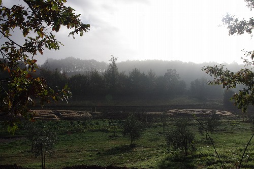 d0092439_22443820.jpg