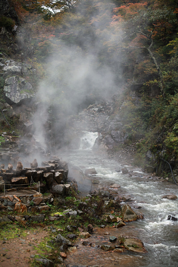 d0008146_0541986.jpg