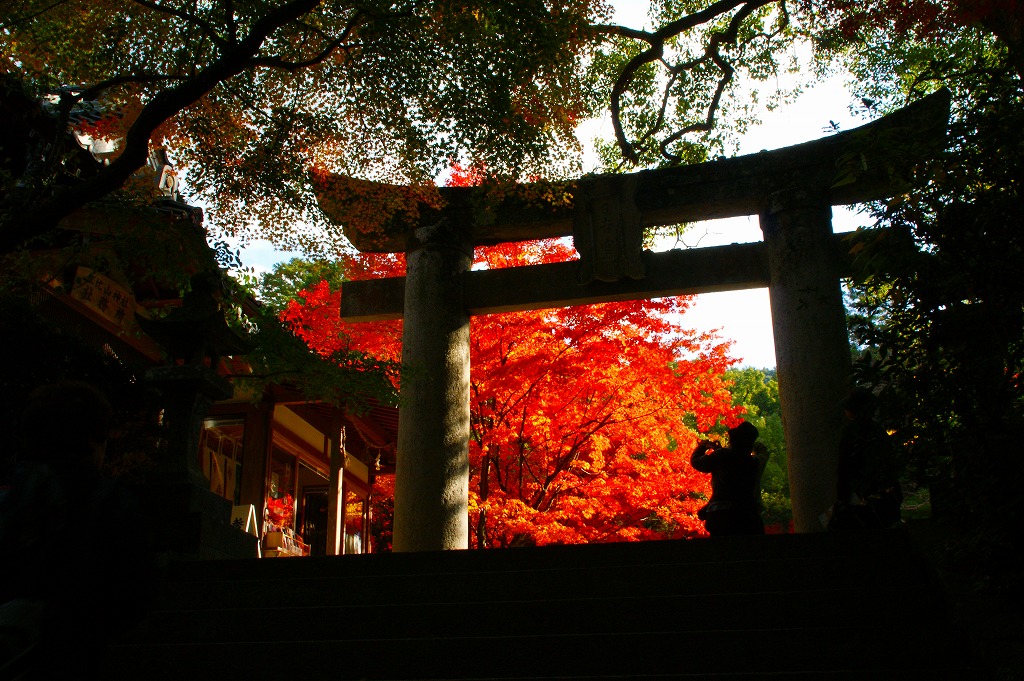 f0201348_22384626.jpg