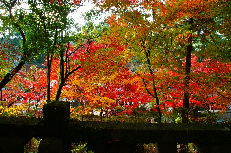 f0201348_2248335.jpg